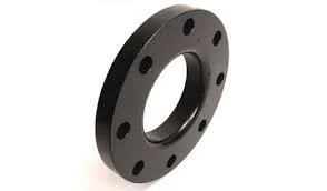 1729061384Carbon Steel JIS Marine Flanges 10k